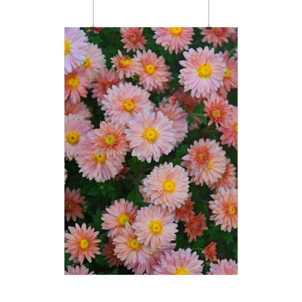 101894-86.jpg Beautiful Pink Flowers Poster