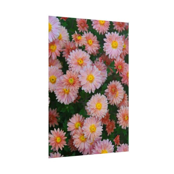 101894-87.jpg Beautiful Pink Flowers Poster