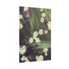 101894-92.jpg Tiny White Daisy Flowers Poster