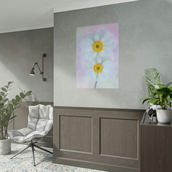 101894-99.jpg Two White Beautiful Flowers Poster