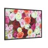 88289-100.jpg Colorful Roses Framed Canvas