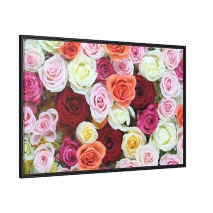 Colorful Roses Framed Canvas