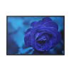 88289-105.jpg Blue Roses Framed Canvas