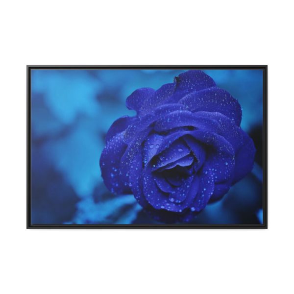 88289-105.jpg Blue Roses Framed Canvas