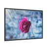 88289-112.jpg Garden Roses Framed Canvas