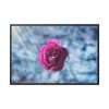 88289-113.jpg Garden Roses Framed Canvas