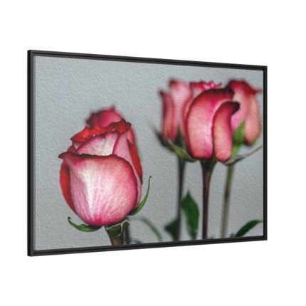 Red Oil Rose Framed Canvas