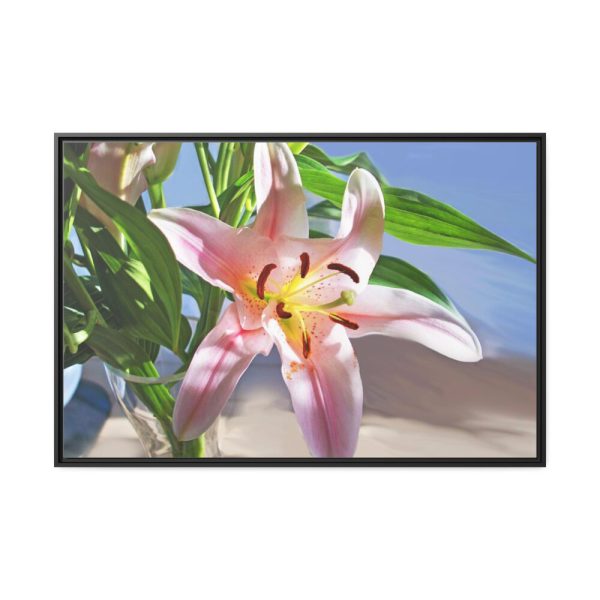 Pink Lily Framed Canvas