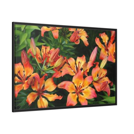 Orange Lily Framed Canvas