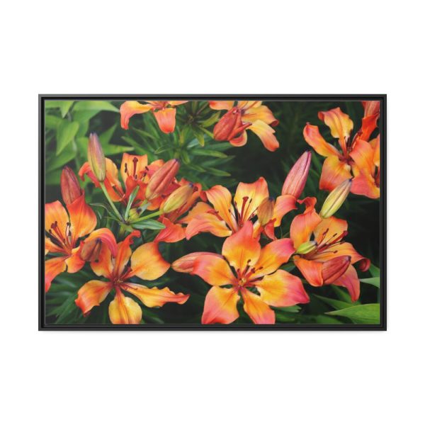Orange Lily Framed Canvas