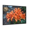Orange Flower Framed Canvas