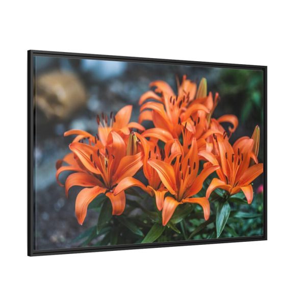Orange Flower Framed Canvas