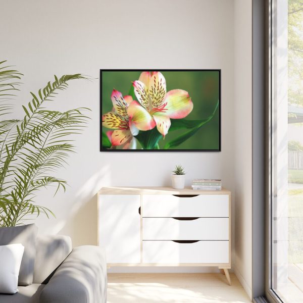 88289-175.jpg Lily of the Incas Framed Canvas