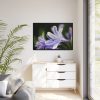 Purple White Glowing Lily Framed Canvas