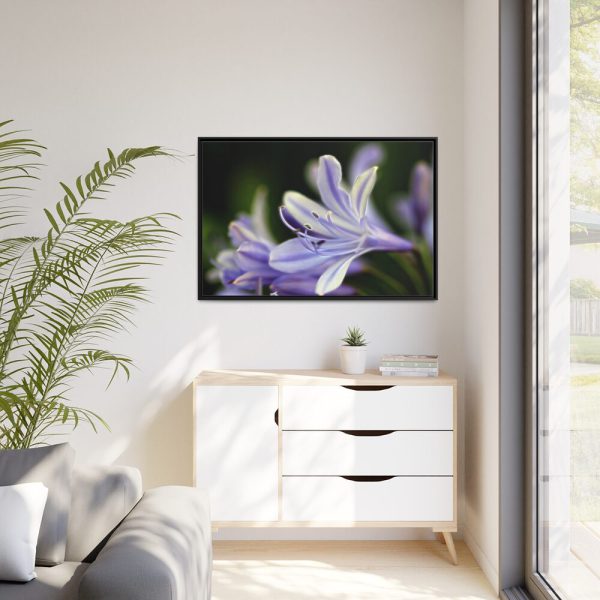 Purple White Glowing Lily Framed Canvas