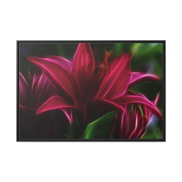 Pink Bloom Lily Framed Canvas
