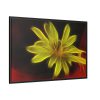 Yellow Flower Framed Canvas