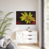 Yellow Flower Framed Canvas
