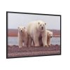 88289-188.jpg Polar Mama Bear and Cubs Framed Canvas