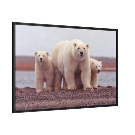 Polar Mama Bear and Cubs Framed Canvas