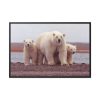 88289-189.jpg Polar Mama Bear and Cubs Framed Canvas