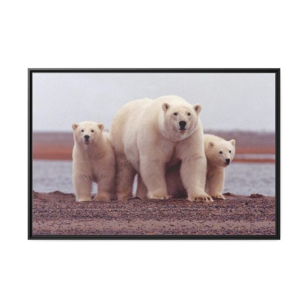 88289-189.jpg Polar Mama Bear and Cubs Framed Canvas