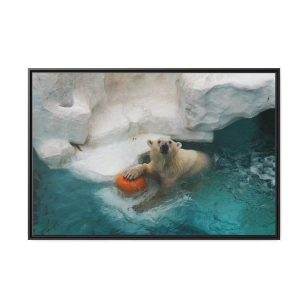 Polar Bear in Water Framed Canvas