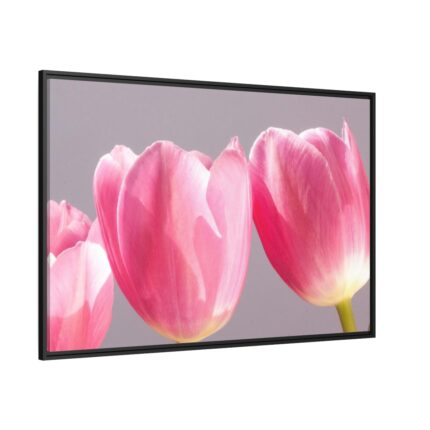 Pink Tulip Framed Canvas