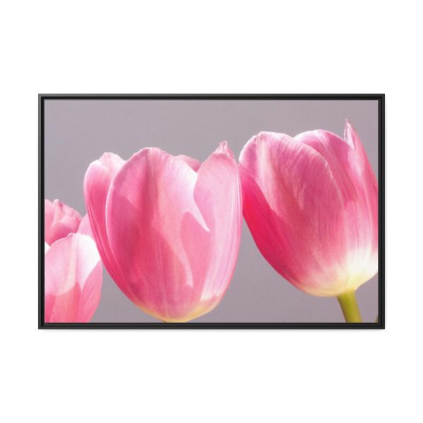 88289-201.jpg Pink Tulip Framed Canvas