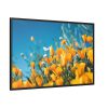 88289-204.jpg Orange Petaled Flowers Framed Canvas