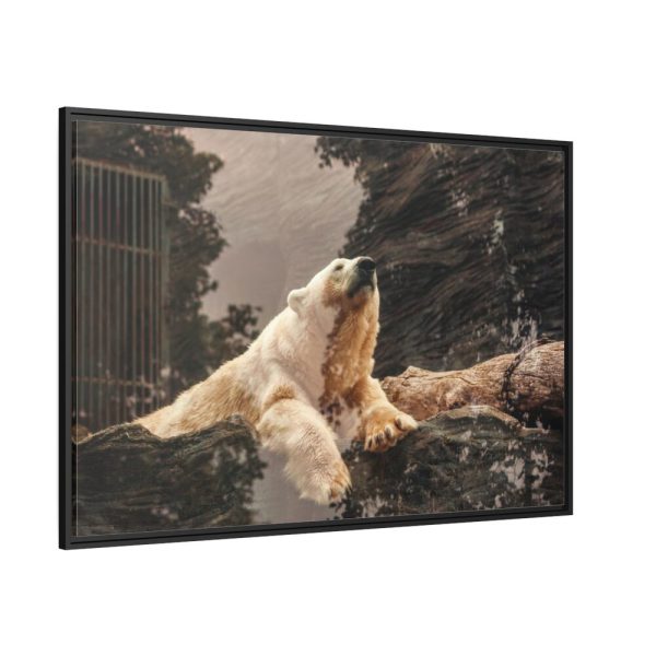 88289-208.jpg Polar Bear in Zoo Framed Canvas