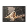 88289-209.jpg Polar Bear in Zoo Framed Canvas