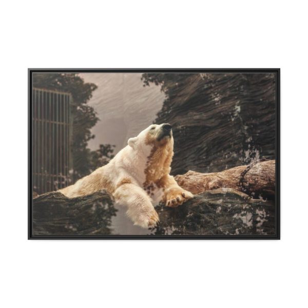 88289-209.jpg Polar Bear in Zoo Framed Canvas