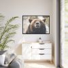 Head of Grizzly Bear Framed Canvas