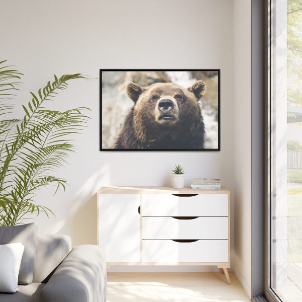 Head of Grizzly Bear Framed Canvas