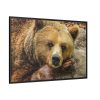 88289-216.jpg Bear is Resting Framed Canvas