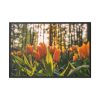 Blooming Orange Tulips Framed Canvas