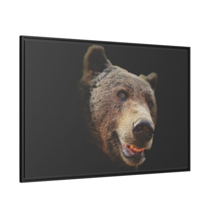 Face of Bear Framed Canvas