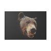 Face of Bear Framed Canvas