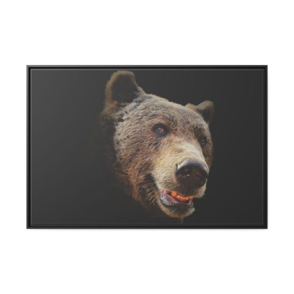 Face of Bear Framed Canvas