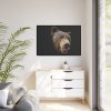 Face of Bear Framed Canvas