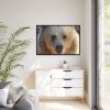 88289-235.jpg Bear Close up Framed Canvas