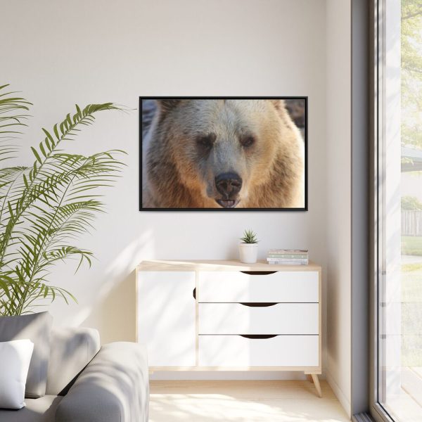 88289-235.jpg Bear Close up Framed Canvas