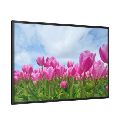 Pink Tulip Framed Canvas