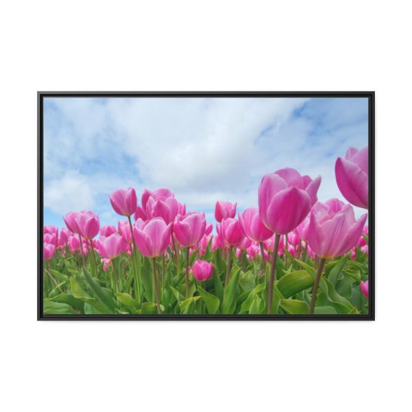 88289-241.jpg Pink Tulip Framed Canvas