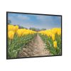 Yellow Tulip Framed Canvas
