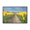 Yellow Tulip Framed Canvas
