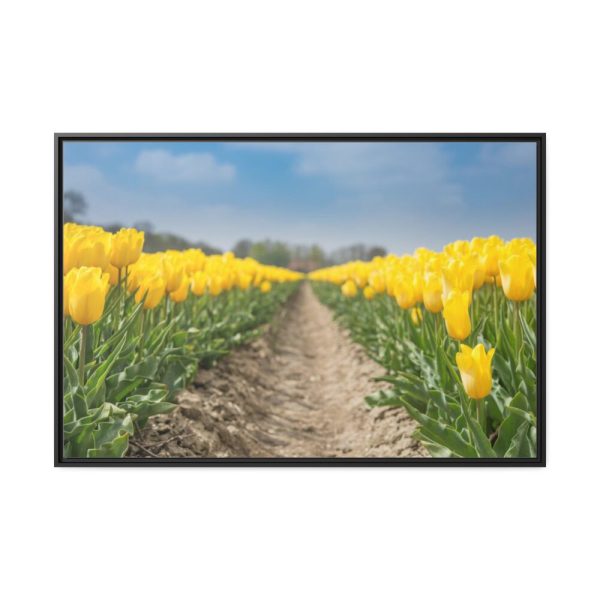 Yellow Tulip Framed Canvas