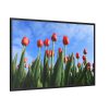 88289-248.jpg Red Tulip Framed Canvas