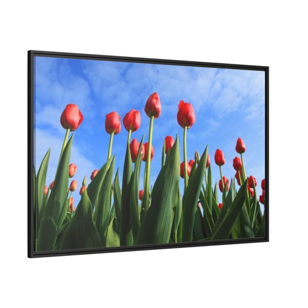 88289-248.jpg Red Tulip Framed Canvas